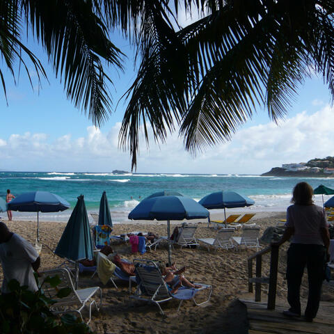 Background Thumbnail