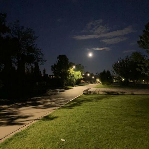 Background Thumbnail