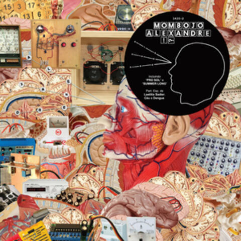 Background Thumbnail