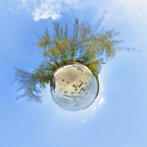 Background Thumbnail