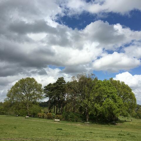 Background Thumbnail