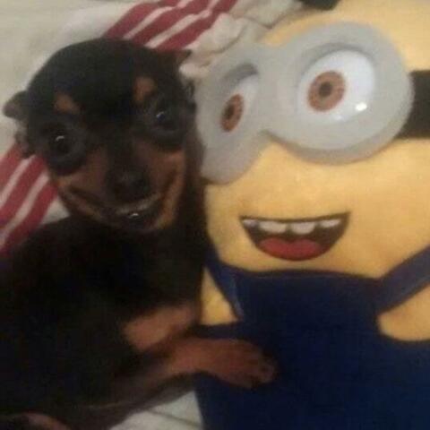 Background Thumbnail