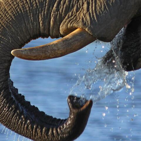 Background Thumbnail