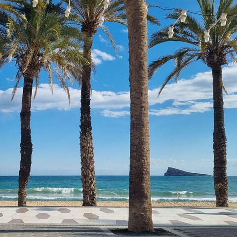 Background Thumbnail