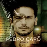 Vivo artwork