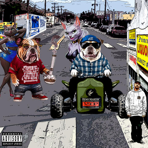 Background Thumbnail