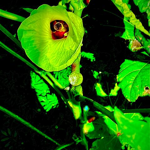 Background Thumbnail