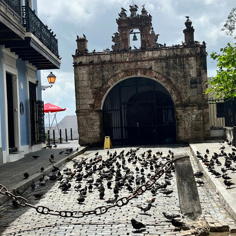 Background Thumbnail