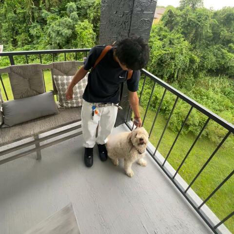 Background Thumbnail