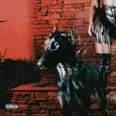 VIBES DON'T LIE artwork