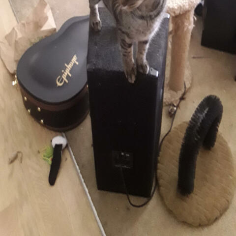 Background Thumbnail