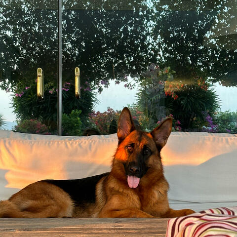 Background Thumbnail