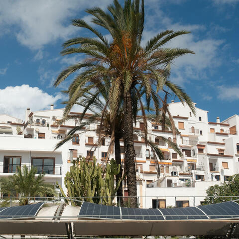 Background Thumbnail