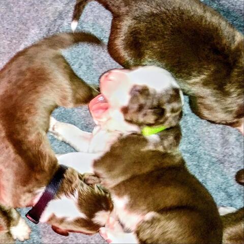 Background Thumbnail