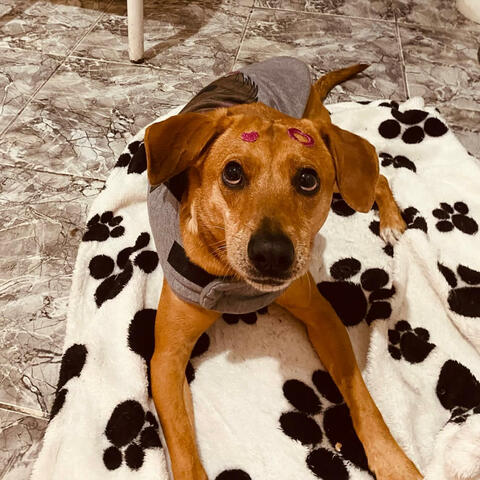 Background Thumbnail