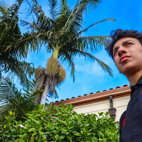 Background Thumbnail