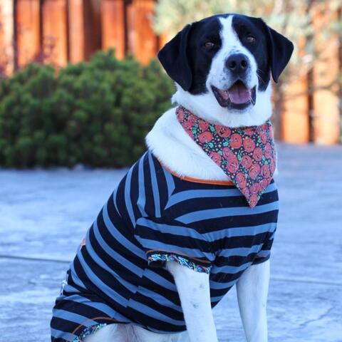 Background Thumbnail