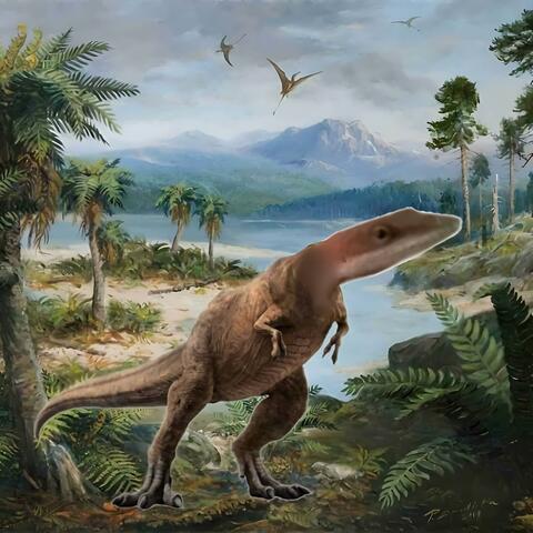 Background Thumbnail