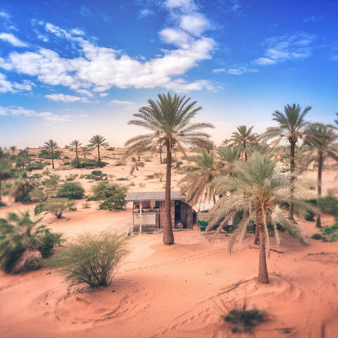 Background Thumbnail