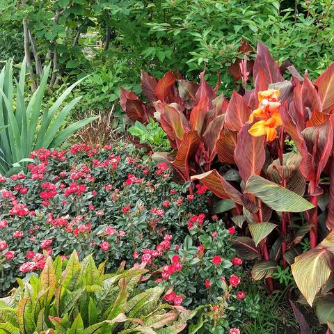 Background Thumbnail