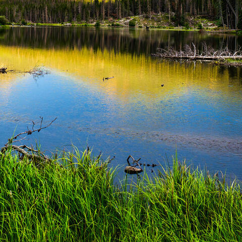 Background Thumbnail