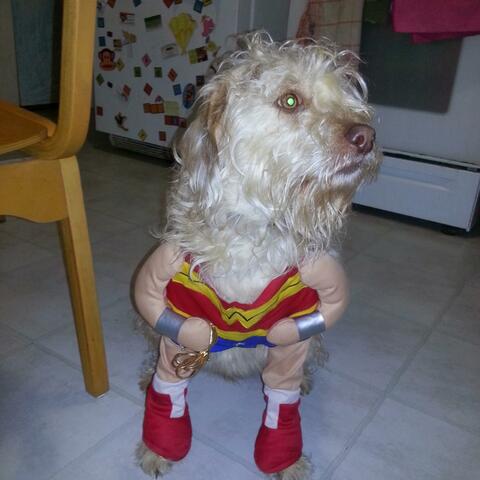 Background Thumbnail