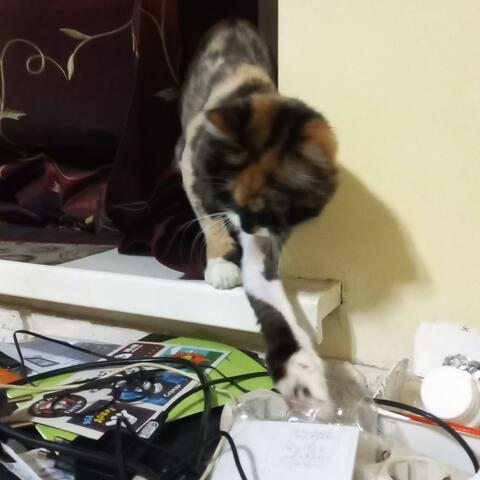 Background Thumbnail