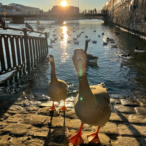 Background Thumbnail