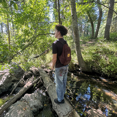 Background Thumbnail