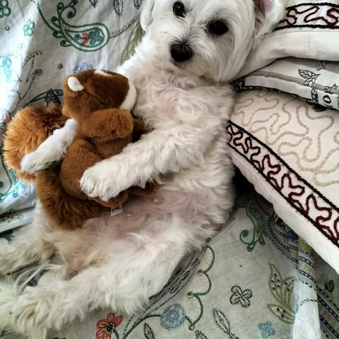 Background Thumbnail