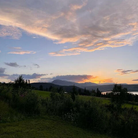 Background Thumbnail