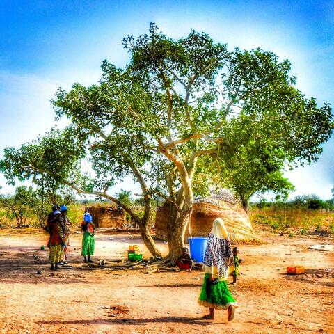 Background Thumbnail