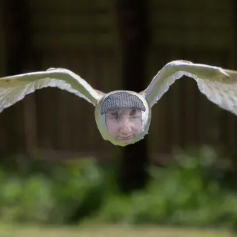 Background Thumbnail