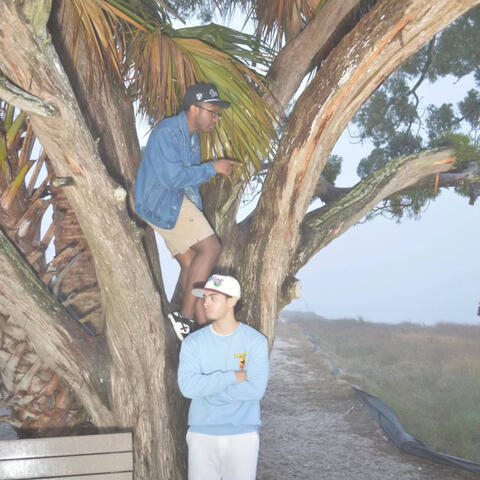 Background Thumbnail