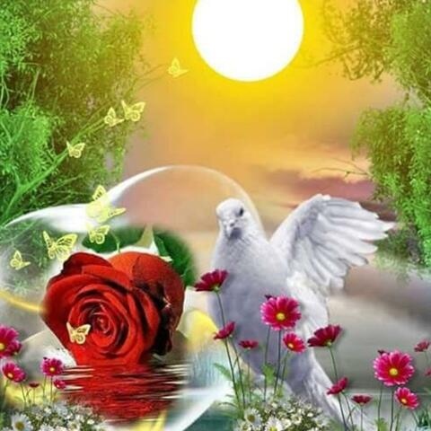 Background Thumbnail