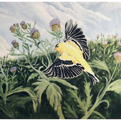 Background Thumbnail