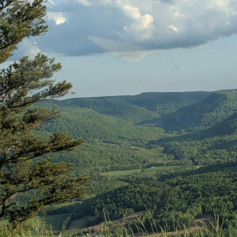 Background Thumbnail