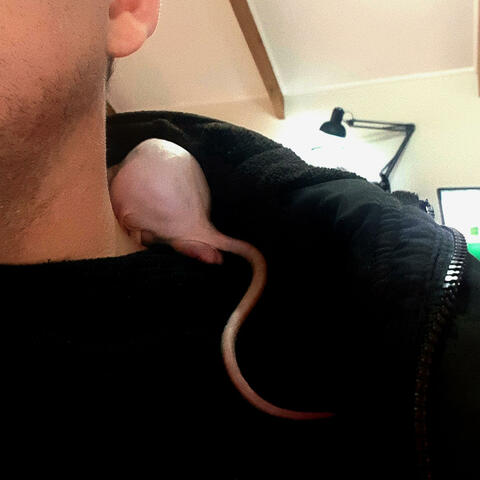 Background Thumbnail