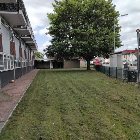 Background Thumbnail