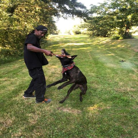 Background Thumbnail