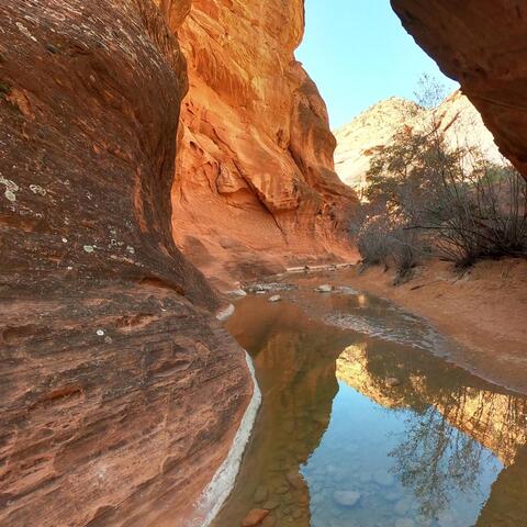 Background Thumbnail