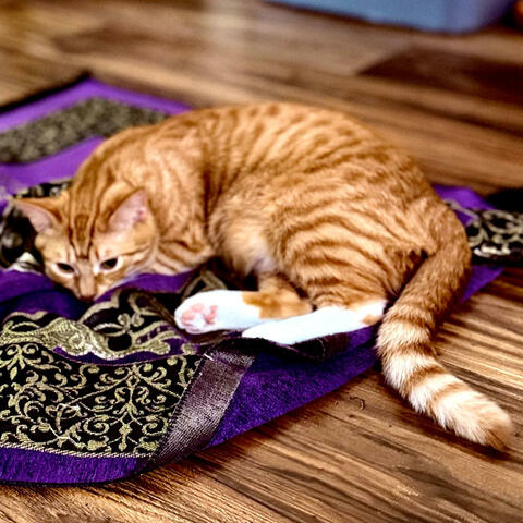 Background Thumbnail