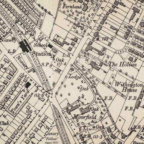 Background Thumbnail