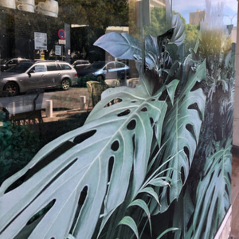 Background Thumbnail