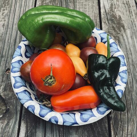 Background Thumbnail