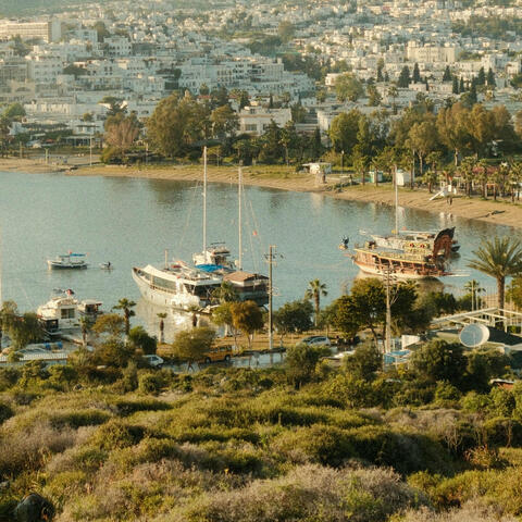 Background Thumbnail