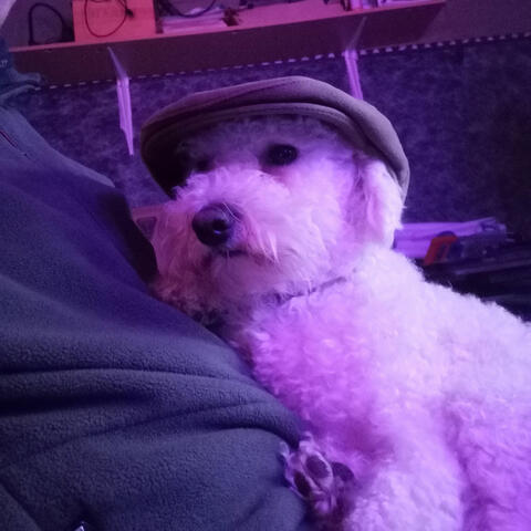 Background Thumbnail