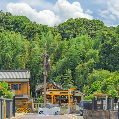 Background Thumbnail