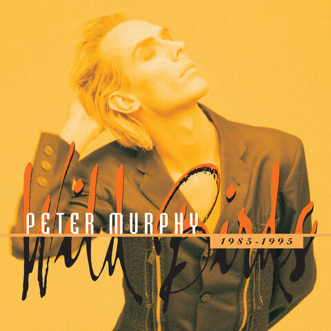 Peter Murphy - Wild Birds | iHeartRadio