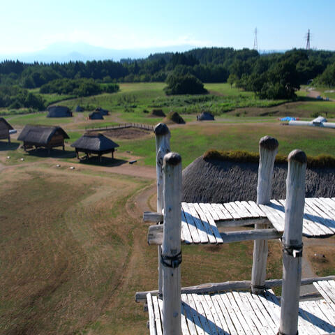 Background Thumbnail